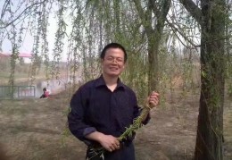 著名山水画家吕景辉——作品欣赏