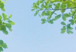 佚名写的小说-10311321全文免费