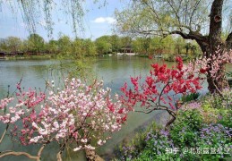 [白衣古镇附近露营]北京最全露营地