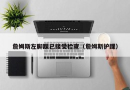 詹姆斯左脚踝已接受检查（詹姆斯护踝）