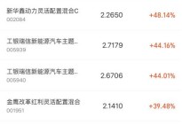 [未来投资哪个基金]2021年，哪些优秀基金值得长期持有？