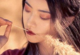 12345615最新章节免费阅读