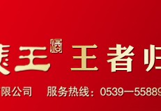 [临沂兰山租帐篷露营]临沂露营经济持续“升温”带火相关产业