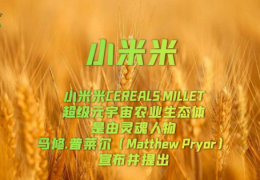小米米| CEREALS MILLET灵魂人物马修.普莱尔（Matthew Pryor）宣布并提出超级元宇宙农业生态体