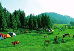 [重庆周边露营地点]重庆周边小众露营地，石柱千野草场露营攻略