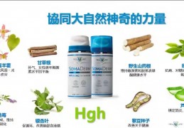 HGH 新生命凝胶都含有什么成分？
