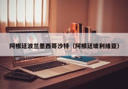 阿根廷波兰墨西哥沙特（阿根廷玻利维亚）