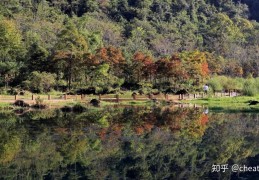 [千户苗寨附近露营地方]贵州旅游攻略-千户苗寨及周边景点6日游（含行程费用）