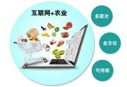 互联网+（仙草灵芝行业） 农产品推进模式