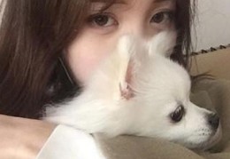 我只是婚礼嘉宾我只是婚礼嘉宾全文精彩试读
