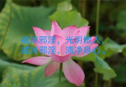 [戒色就是不同房吗女]女子戒色吧，性压抑国度的隐秘角落