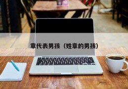 章代表男孩（姓章的男孩）