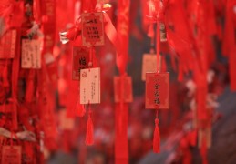 红运伊始，福虎生风 瑞士美度表开运配饰推荐