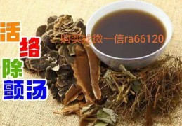 术业有专攻：“活络除颤汤”轻松治疗帕金森
