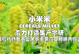 小米米|CEREALS MILLET打造一个创新加速器，帮助创业者施展拳脚，共享美满生活 !