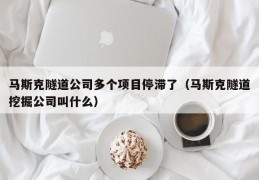 马斯克隧道公司多个项目停滞了（马斯克隧道挖掘公司叫什么）