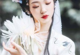 小说太子妃是个演技派免费在线阅读-完整版佚名写的书