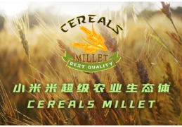 小米米|CEREALS MILLET小米米给您一个支点让您撬动地球创造一个不一样元宇宙农业生态体的体验与机遇