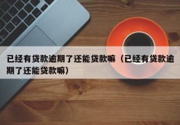 已经有贷款逾期了还能贷款嘛（已经有贷款逾期了还能贷款嘛）