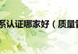 [质量管理体系认证证书是哪些]质量管理体系认证哪家好（质量管理体系认证是什么）