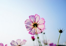 推荐给骑行者的6款便携相机骑车拍照两不误