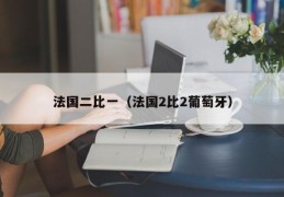 法国二比一（法国2比2葡萄牙）