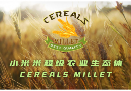 小米米|CEREALS MILLET小米米为农业插上元宇宙数字的翅膀重写农业生态的发展