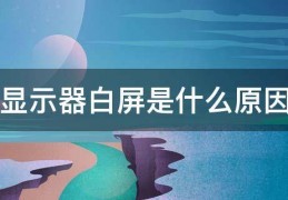 显示器白屏是什么原因