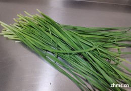 [菜长期放冰箱]放冰箱里的菜能放多久